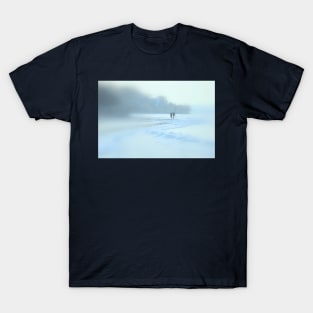 Wintry Afternoon Stroll T-Shirt